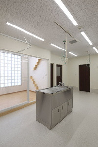 東京都　品川オーバル動物病院　処置室